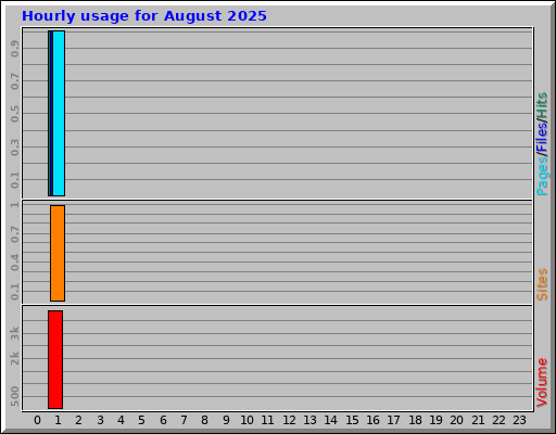 Hourly usage for August 2025 Hourly usage for August 2025
