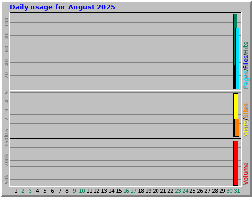 Daily usage for August 2025
