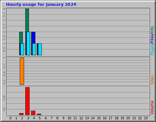Hourly usage for January 2024