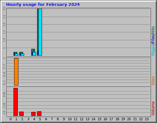 Hourly usage for February 2024