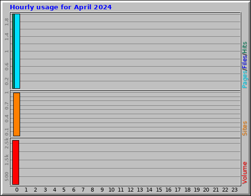 Hourly usage for April 2024