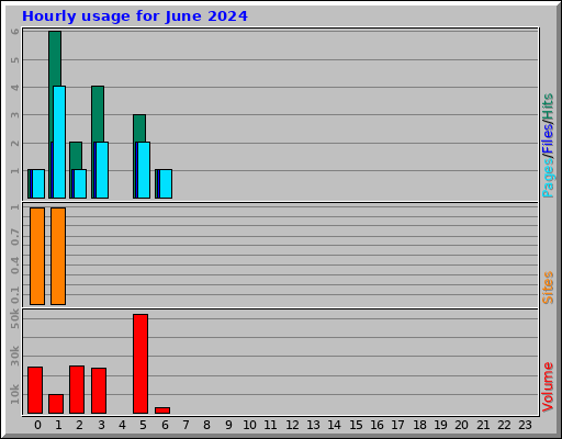 Hourly usage for June 2024