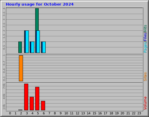 Hourly usage for October 2024