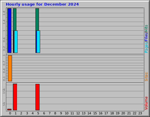 Hourly usage for December 2024