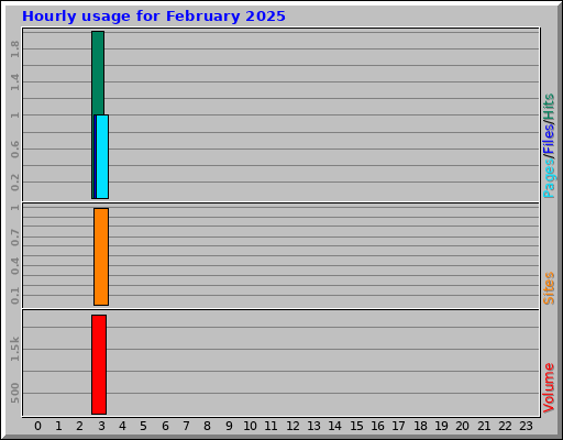 Hourly usage for February 2025