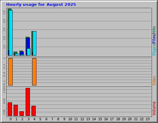 Hourly usage for August 2025