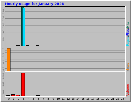 Hourly usage for January 2026