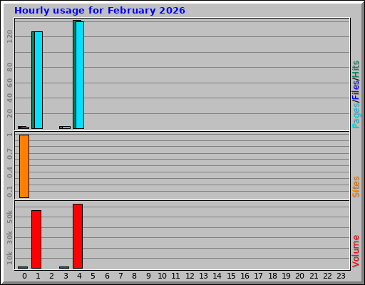 Hourly usage for February 2026