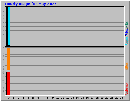 Hourly usage for May 2025