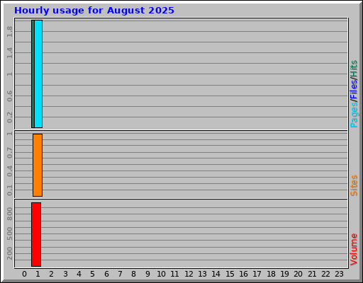 Hourly usage for August 2025
