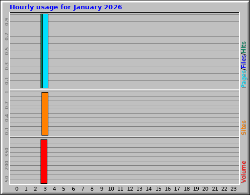 Hourly usage for January 2026