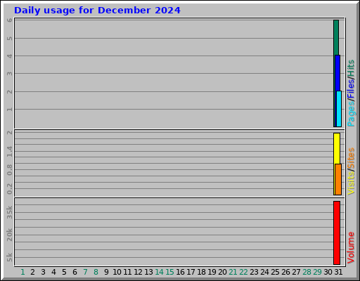 Daily usage for December 2024