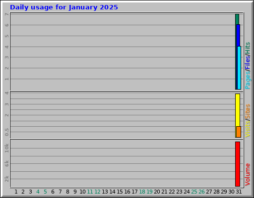 Daily usage for January 2025