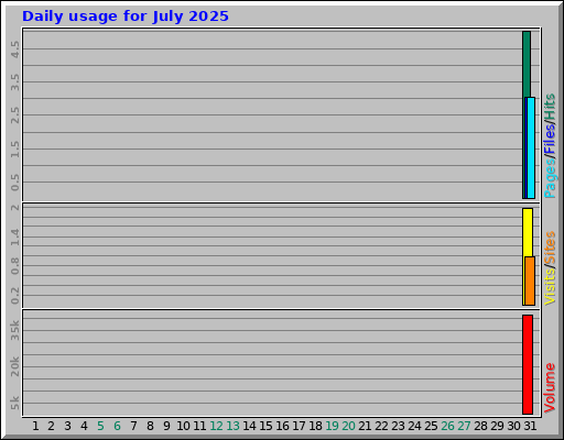 Daily usage for July 2025