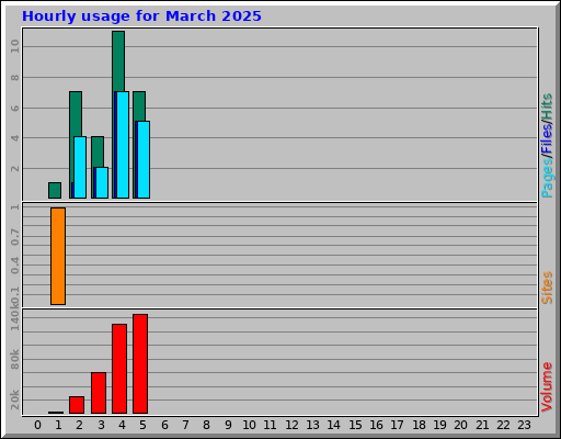 Hourly usage for March 2025