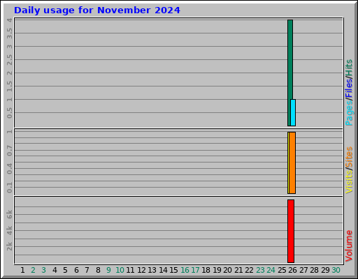 Daily usage for November 2024