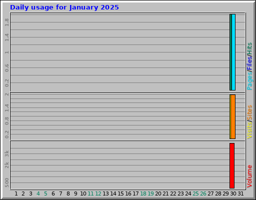 Daily usage for January 2025