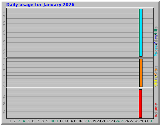 Daily usage for January 2026