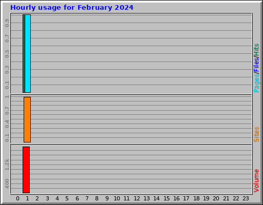 Hourly usage for February 2024