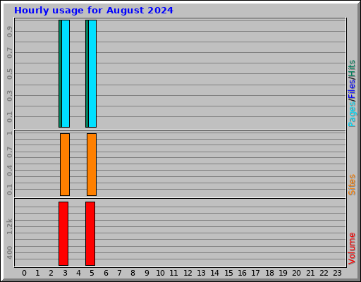 Hourly usage for August 2024