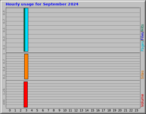 Hourly usage for September 2024