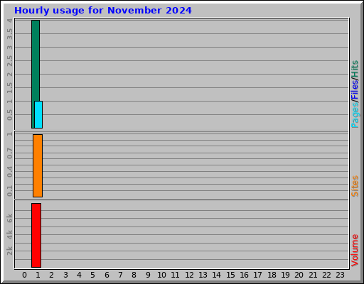 Hourly usage for November 2024
