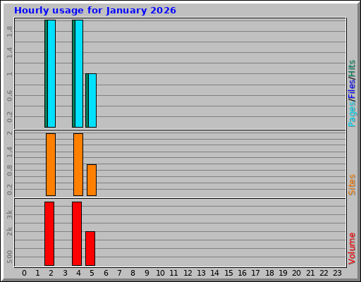 Hourly usage for January 2026